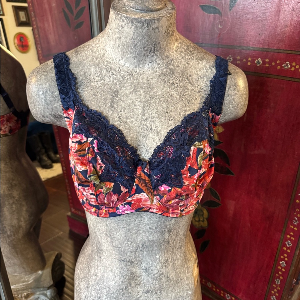 Bras N Things Blue and Red Lace Bra with Underwire Support
